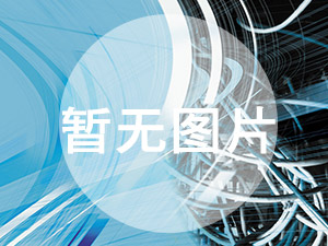 起重機(jī)廠基于CPK和PPK的SPC質(zhì)量管控分析